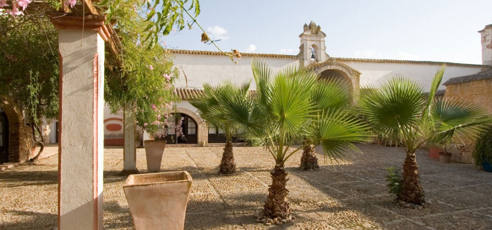 aaaHacienda  de 8 hectáreas à vendre à Carmona / Los Alcores (1358)