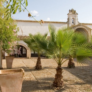 Hacienda  à vendre à Campiña de Carmona (1358)