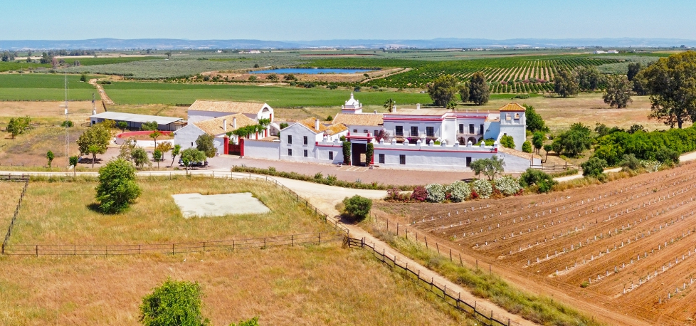 aaaFinca  de 46 hectáreas en venta en Carmona / Los Alcores (1386)