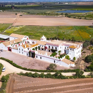 Finca de 46 hectáreas en venta en Carmona, Sevilla