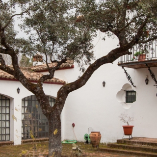 Country House en for sale en Cazalla de la Sierra, Seville