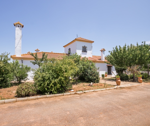 Winery for sale in Seville (2162)