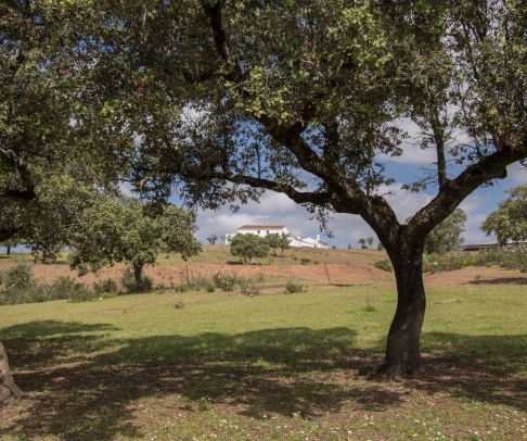 Country House for sale in Sierra de Huelva (2307)
