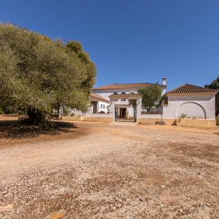 aaaCountry House  de 14 hectáreas for sale at Sierra de Cádiz (2490)