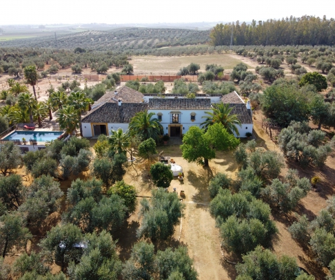 Recreational property for sale in Campiña de Morón y Marchena (2525)