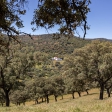 Dehesa de 300 hectáreas en venta en Sierra Norte, Sevilla