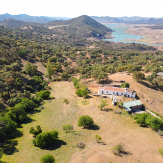 aaaFinca  de 60 hectáreas en venta en Sierra Norte (2861)
