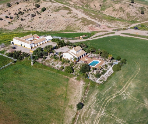 Farmhouse for sale in Bajo Guadalquivir (2936)