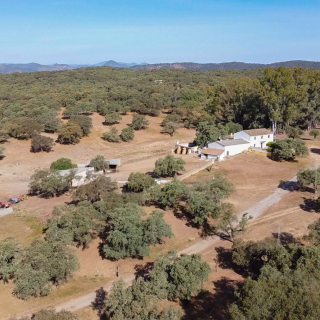 aaaFinca  de 172 hectáreas en venta en Sierra Norte (2945)