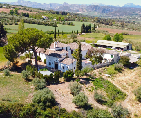 Farmhouse for sale in Ronda (2946)