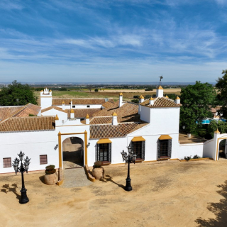 aaaEstate  de 57 hectáreas for sale at Carmona / Los Alcores (2979)